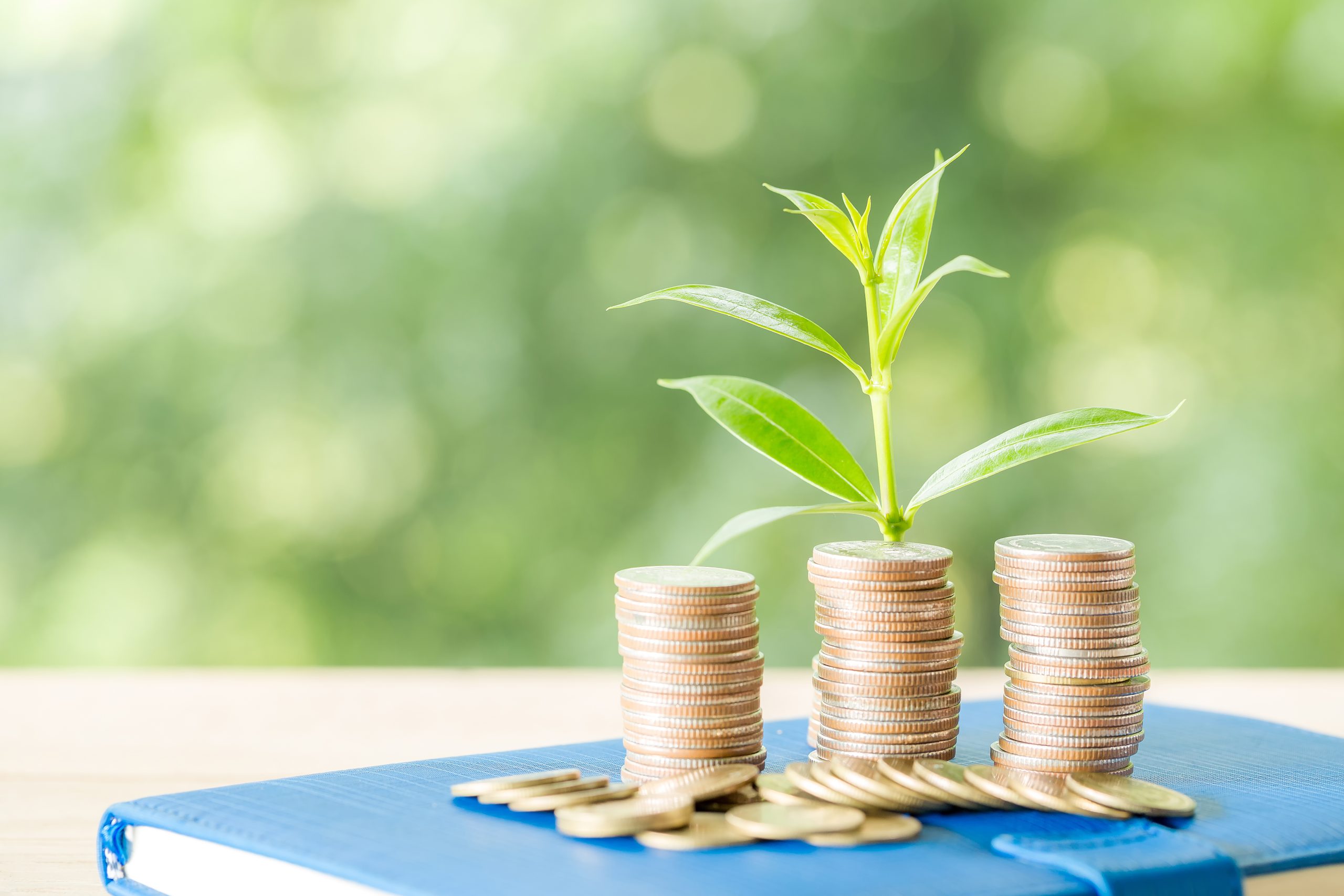 Planting trees on a coin pile with sunlight
